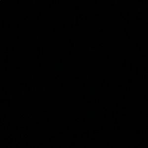 Meet your Posher, Sammy